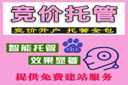 百度竞价广告的投放成本与ROI分析案例